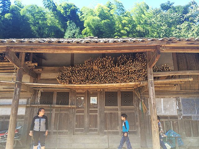 2014平安留守 快乐假期之乡村夏令营-- 西南