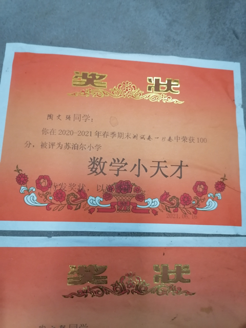 陶文强获得的部分奖项1 陶文强获得的部分奖项1