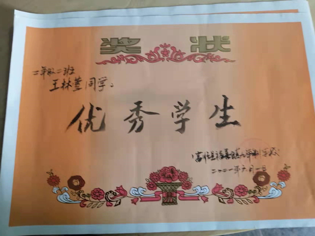 王林萱所获学习奖励