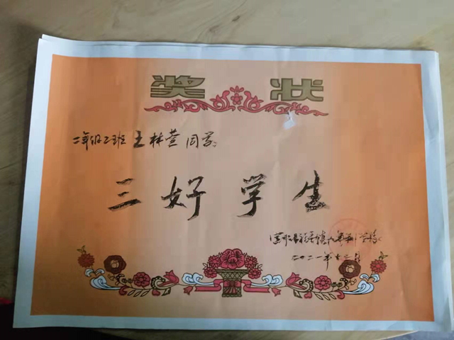 王林萱所获学习奖励1