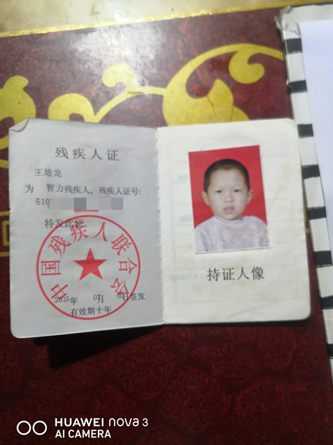 王紫涵哥哥王培龙残疾证