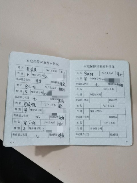 宗仕林母亲低保证1