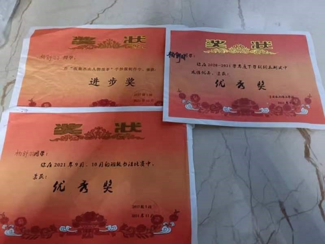 杨舒羽获得的部分奖状 杨舒羽获得的部分奖状