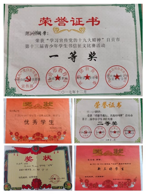 陈润棋获得的荣誉证书、奖状 陈润棋获得的荣誉证书、奖状